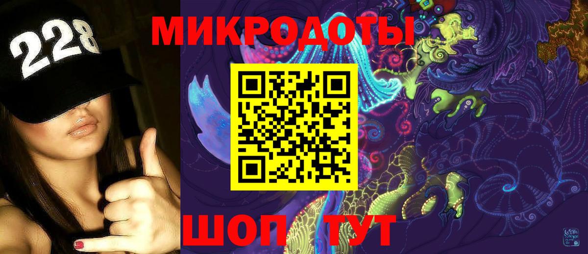 Псилоцибиновые грибы Psilocybe Заречный