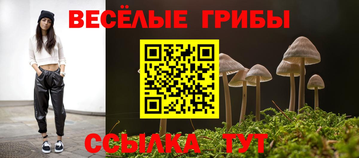 Заречный  Галлюциногенные грибы мухоморы  Вход с VPN 